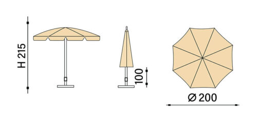 schema art.12